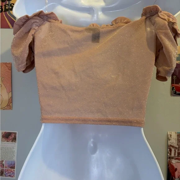 Windsor Shimmering Blouse in Rose Gold - Picture 3 of 4